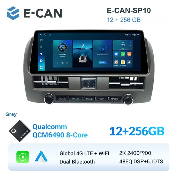 E-CAN-SP10 12GB + 256GB