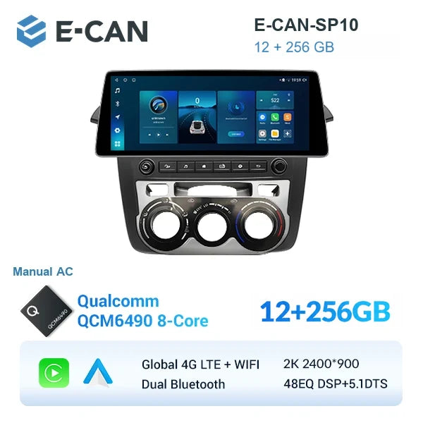 E-CAN-SP10 12GB + 256GB